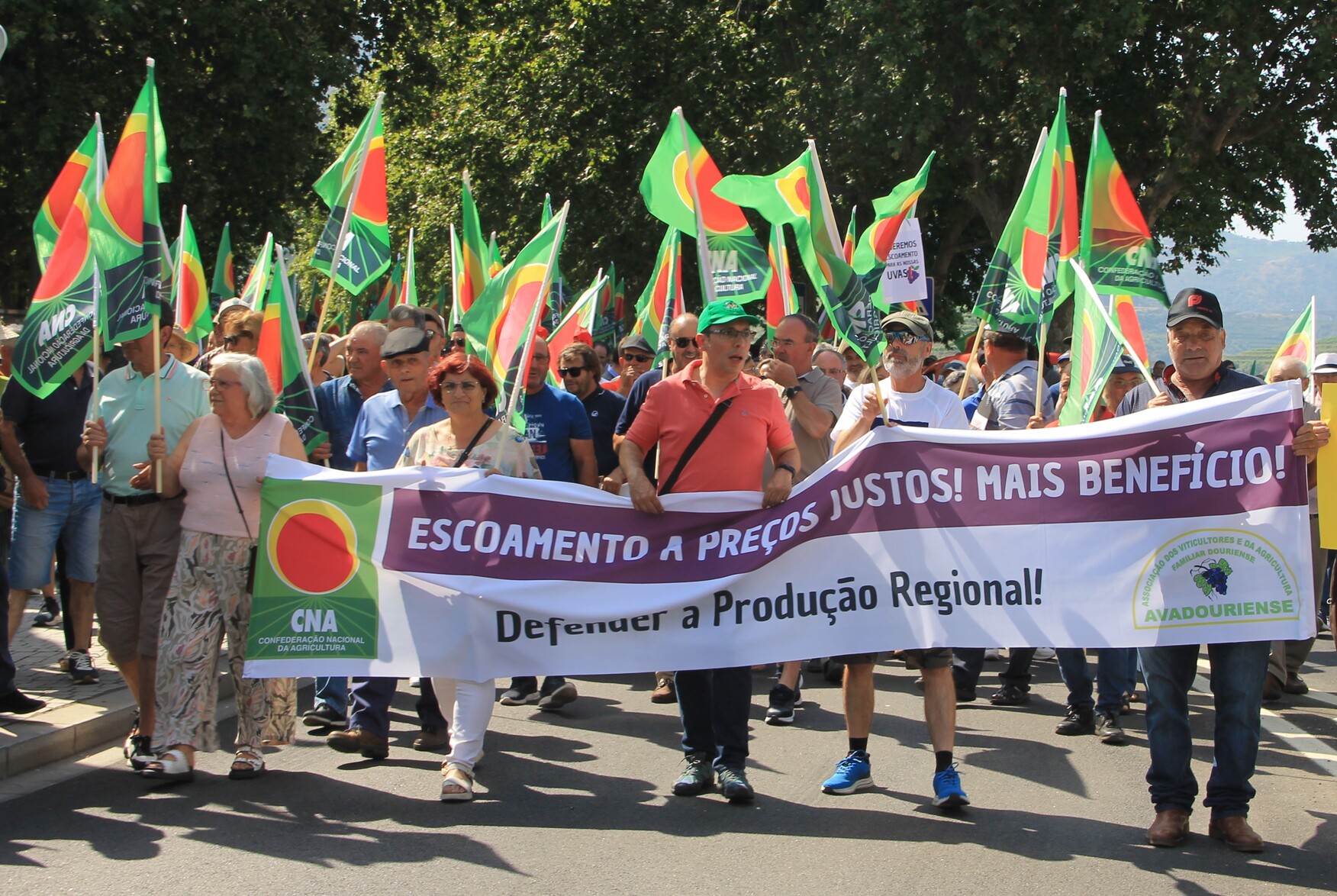 manifestação viticultores do douro